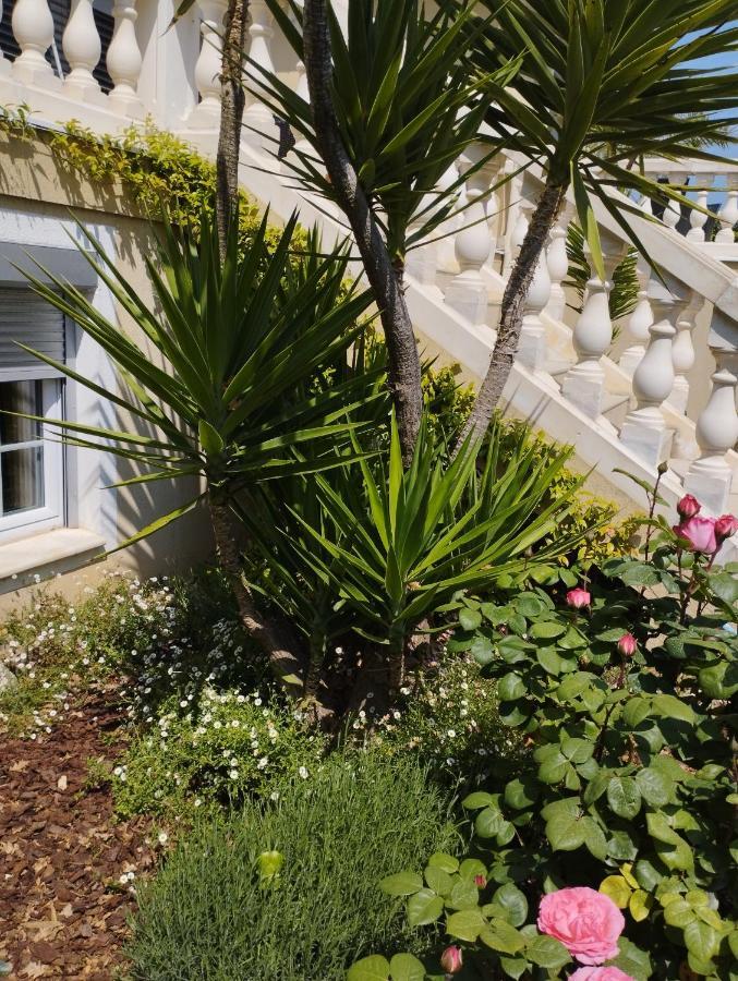 Villa Flora Superior Apartment Cabris Exteriér fotografie